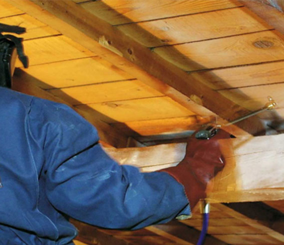 La méthode de votre artisan pour éradiquer les nuisibles dans sa charpente